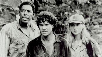 刚果惊魂在线观看,揭秘刚果惊魂  第3张